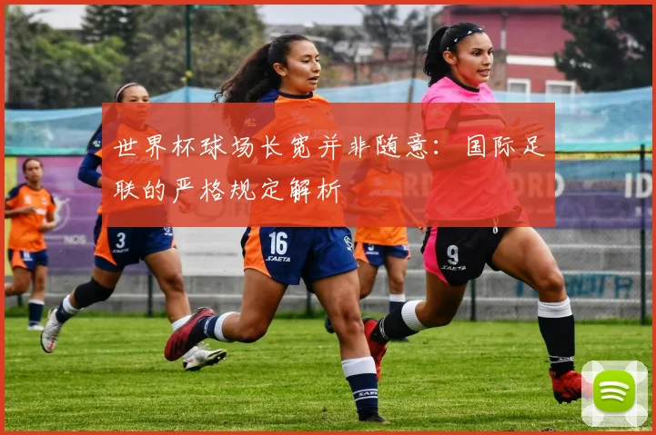 世界杯球场长宽并非随意：国际足联的严格规定解析