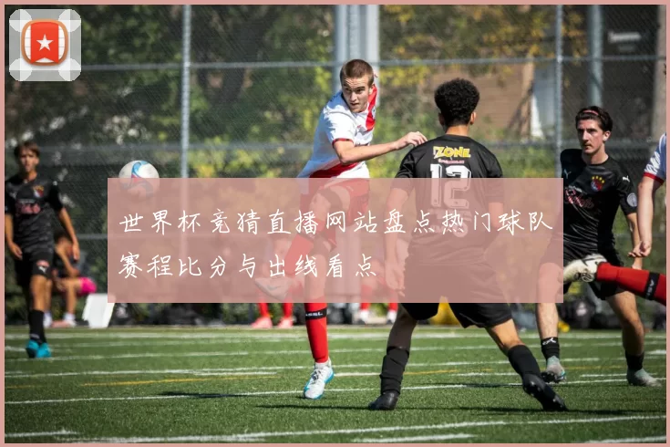 世界杯竞猜直播网站盘点热门球队赛程比分与出线看点