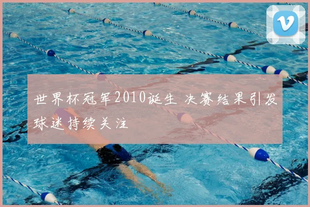 世界杯冠军2010诞生 决赛结果引发球迷持续关注