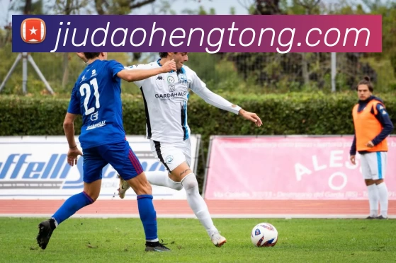 星空体育登录官网入口APP 封面图