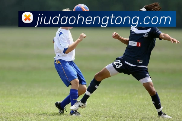 数据防护可视化